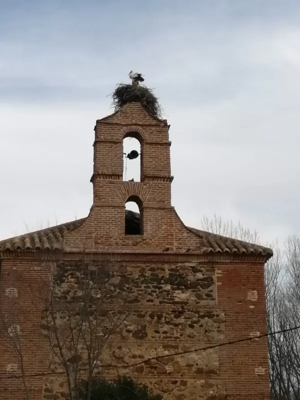 Fiestas y Tradiciones