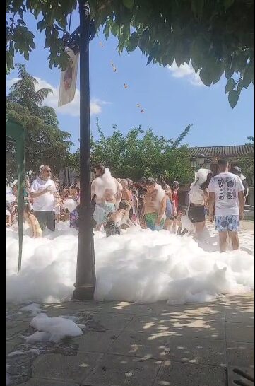 vid2-1.jpg
